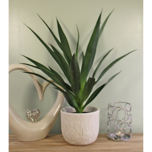 Artificial Yucca Plant, 60cm - Ashton and Finch