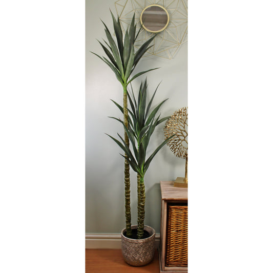 Artificial Triple Trunk Yucca Tree, 160cm - Ashton and Finch