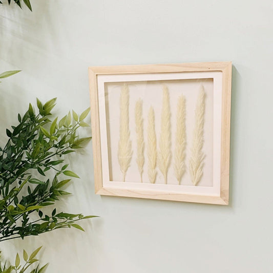 White Pampas In Square Frame 31cm - Ashton and Finch