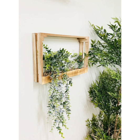 Modern Succulent Wall Crate Shelf - Ashton and Finch