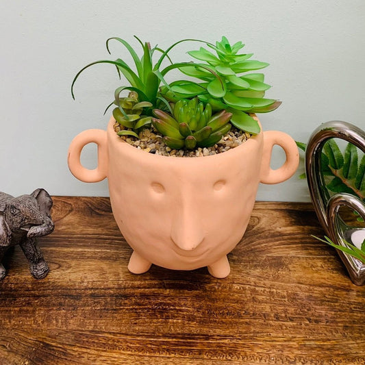 Face Terracotta Pot With Faux Cacti Large - Ashton and Finch