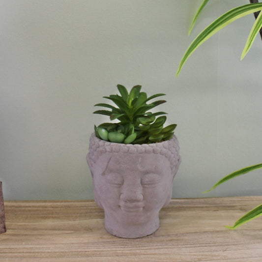 Trio of Faux Succulents in Buddha Head Cement Pot - Ashton and Finch