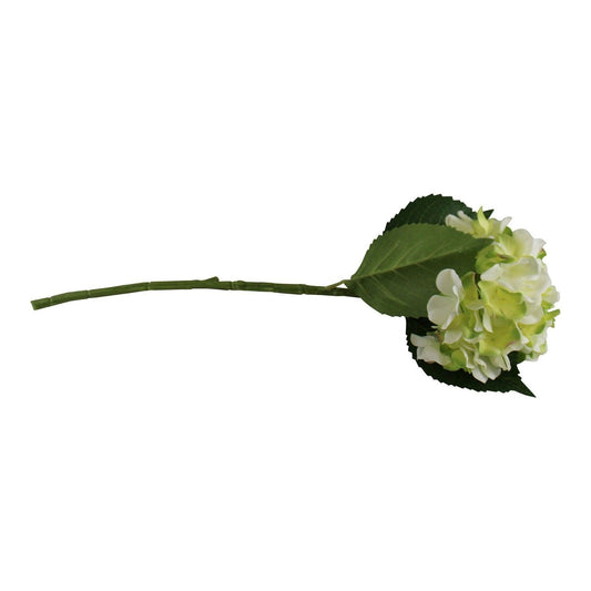 Single Hydrangea Spray, Cream & Green Flower, 49cm - Ashton and Finch