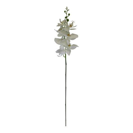 Single Orchid Spray, White Flowers, 85cm - Ashton and Finch