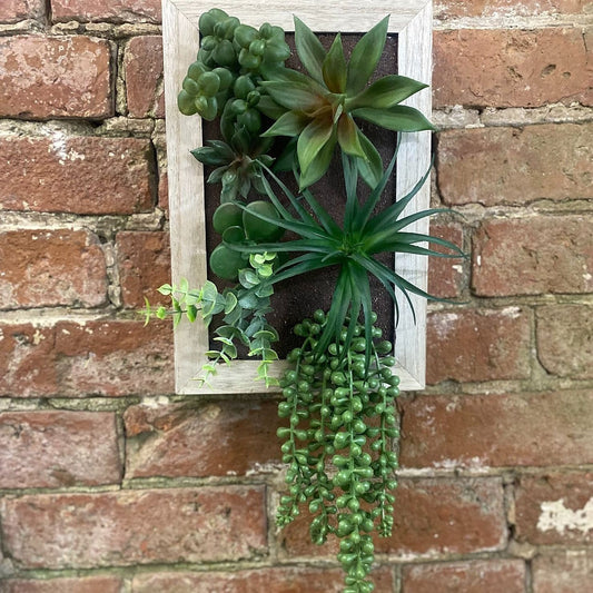 Artificial Succulents In Wooden Frame - Ashton and Finch