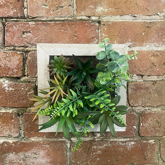 Artificial Succulents In Square Wooden Frame - Ashton and Finch