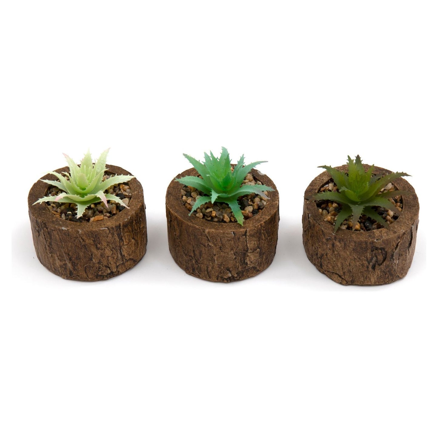 Bark Effect Pot and Succulent - Ashton and Finch