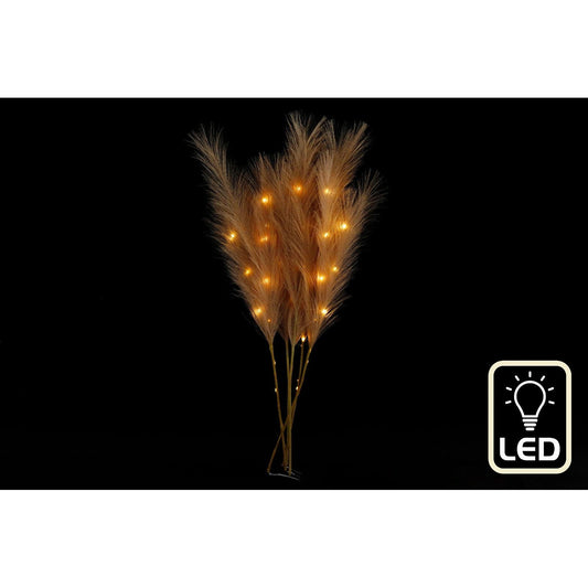 Set of Five Brown Led Pampas Grass Stems - Ashton and Finch