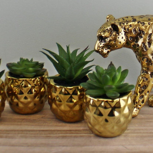 Set of 4 Miniature Succulents In Gold Geometric Pots - Ashton and Finch