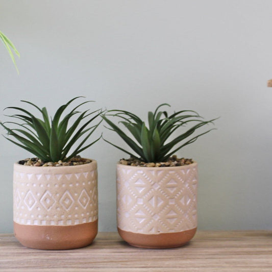 Set of 2 Faux Succulents In Ceramic Pots - Ashton and Finch