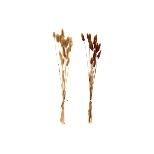Set of Two Natural Dried Lagarus Bouquets in Cream & Brown - Ashton and Finch