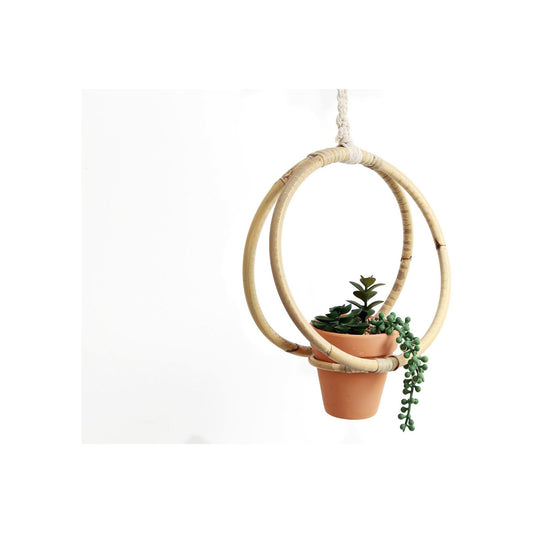 Faux Succulent In Bamboo Hanger - Ashton and Finch