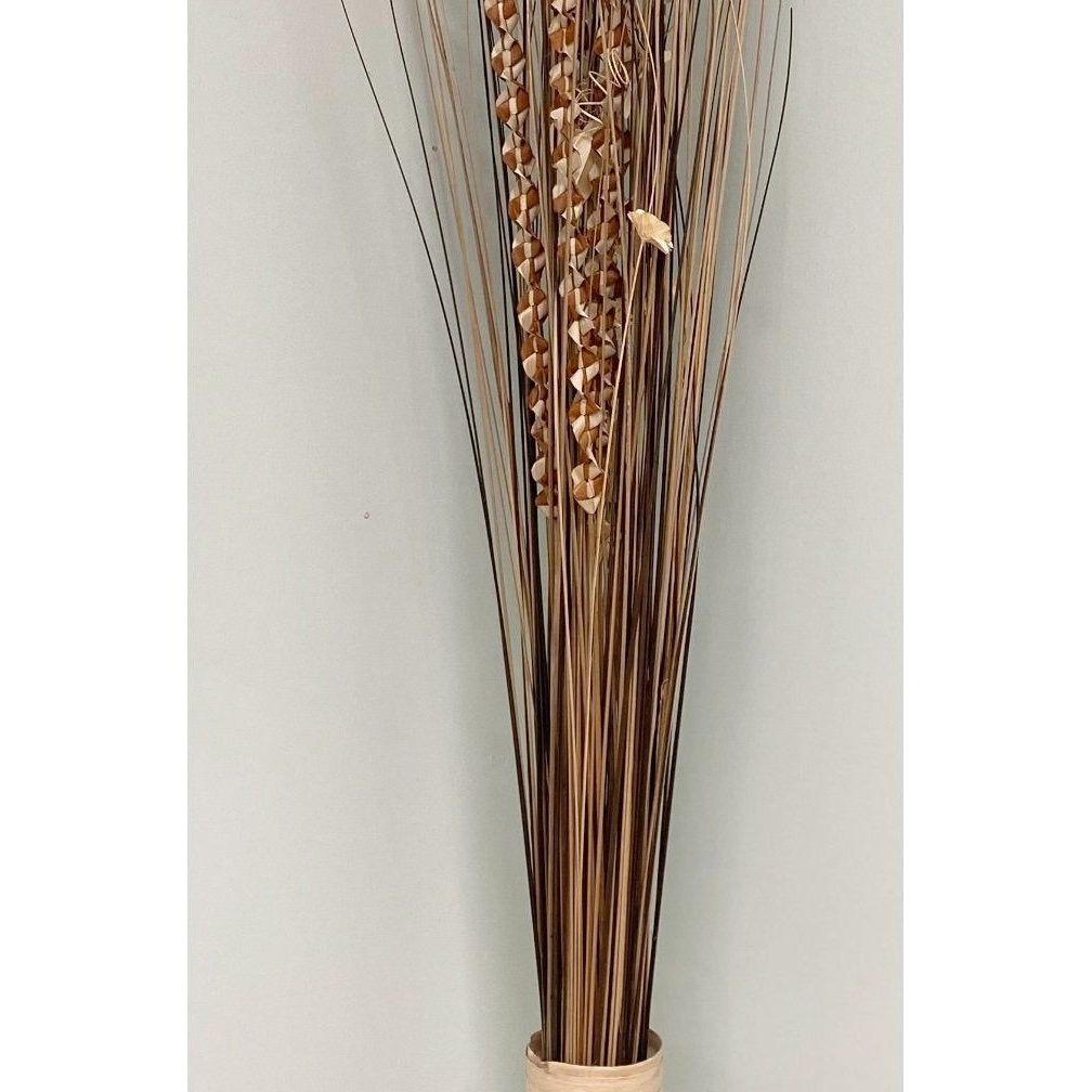 Plaited Dried Palm Leaf Arrangement In A Vase 150cm - Ashton and Finch