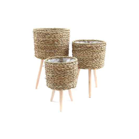 Set of Three Seagrass Planters On Stands - Ashton and Finch