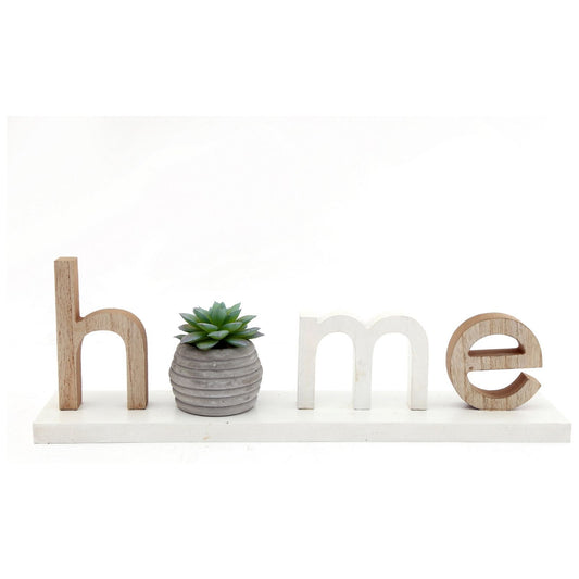 Home Decoration With Plant - Ashton and Finch
