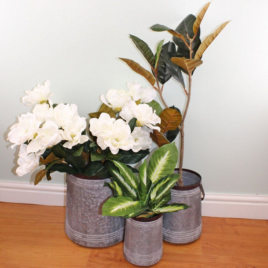 Set of 3 Bucket Style Metal Planters - Ashton and Finch