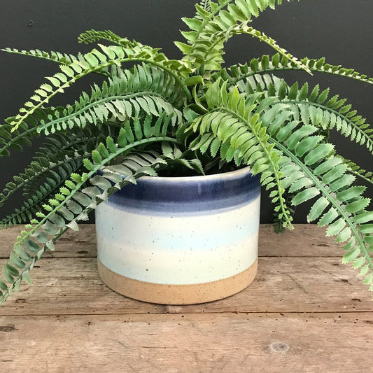 Blue Striped Ceramic Planter - Ashton and Finch