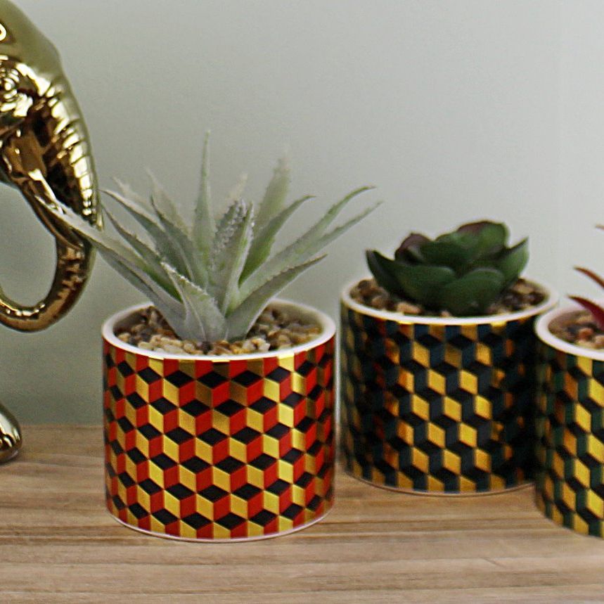 Set of 3 Succulents In Ceramic Pots With A Cubic Design - Ashton and Finch