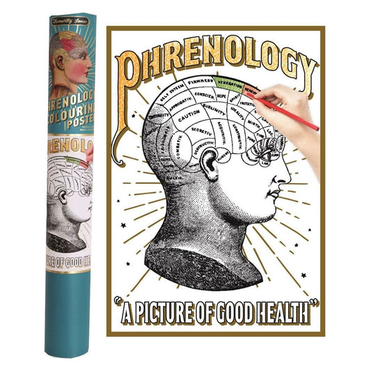 Phrenology Colouring Poster In Gift Tube - Ashton and Finch