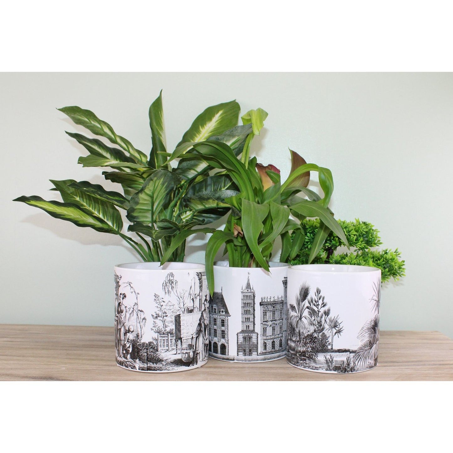 Set of 3 Monochrome Ceramic Small Planters - Ashton and Finch