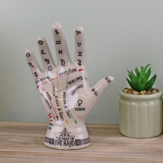 Ceramic Crackle Phrenology Hand - Ashton and Finch