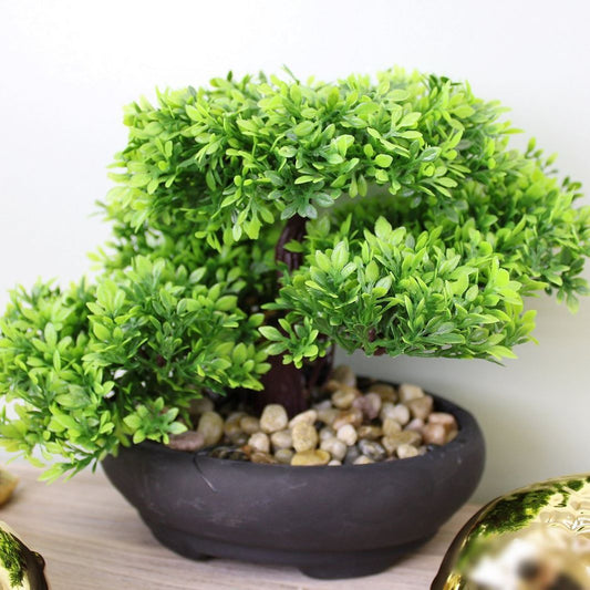 Eastern Faux Bonsai Tree in Boxwood Style - Ashton and Finch