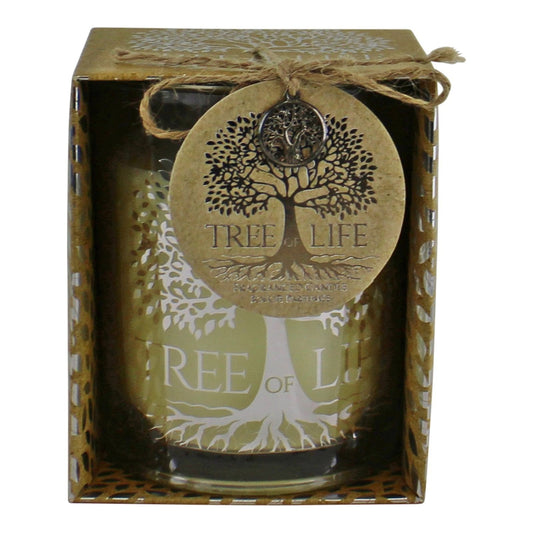 Tree Of Life Fragranced Candle In Gift Box - Ashton and Finch