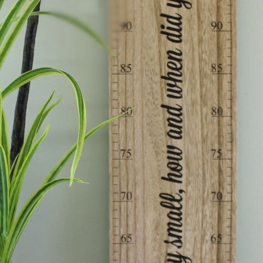 Height Chart Wall Plaque, How Did You Grow So Tall?, 100cm - Ashton and Finch