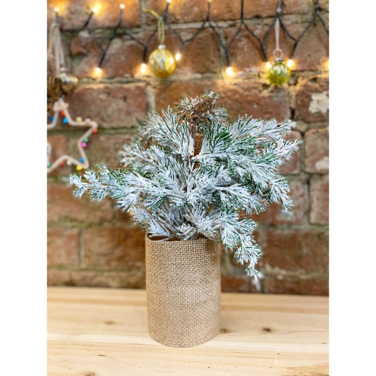 Christmas Tree With Pinecones 40cm - Ashton and Finch
