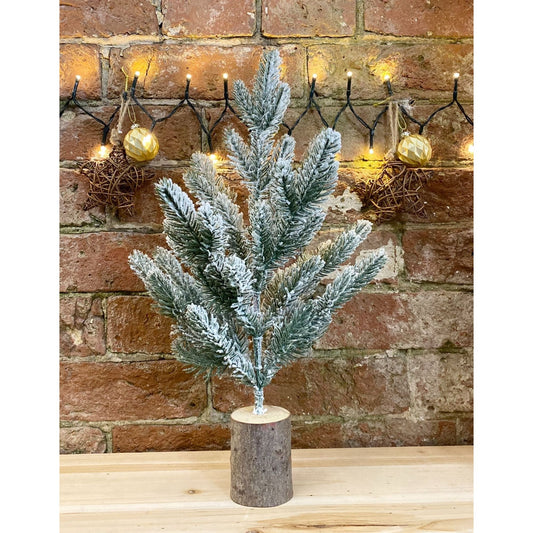 Small Frosted Christmas Tree In Log 43cm - Ashton and Finch