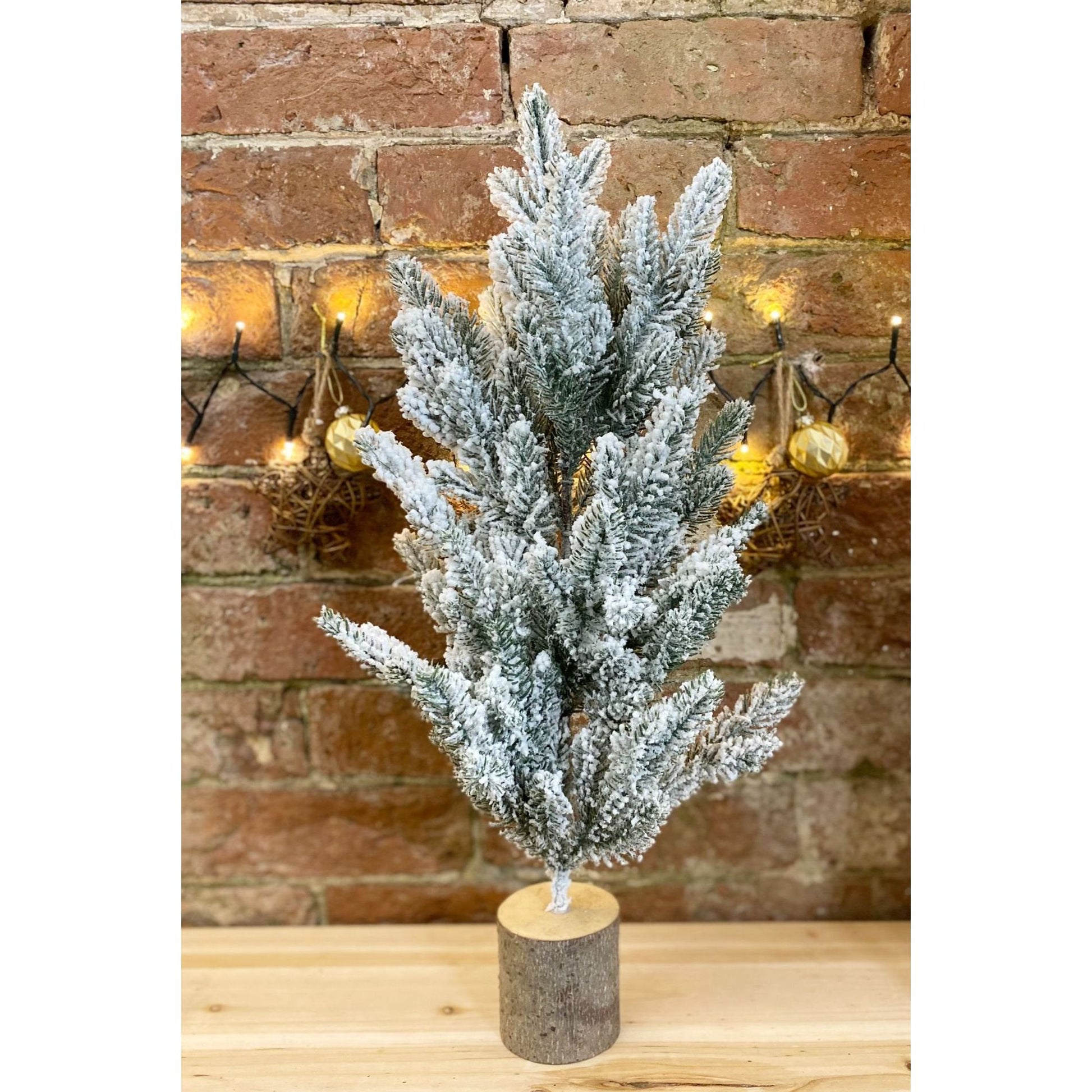 Tall Frosted Christmas Tree In Log 56cm - Ashton and Finch