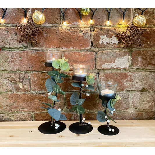 Three Eucalyptus Dressed Tealight Holders - Ashton and Finch
