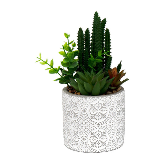 Succulents In Aztec Embossed Pot - Ashton and Finch