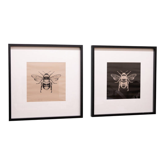 Set of 2 Bee Framed Prints - Ashton and Finch