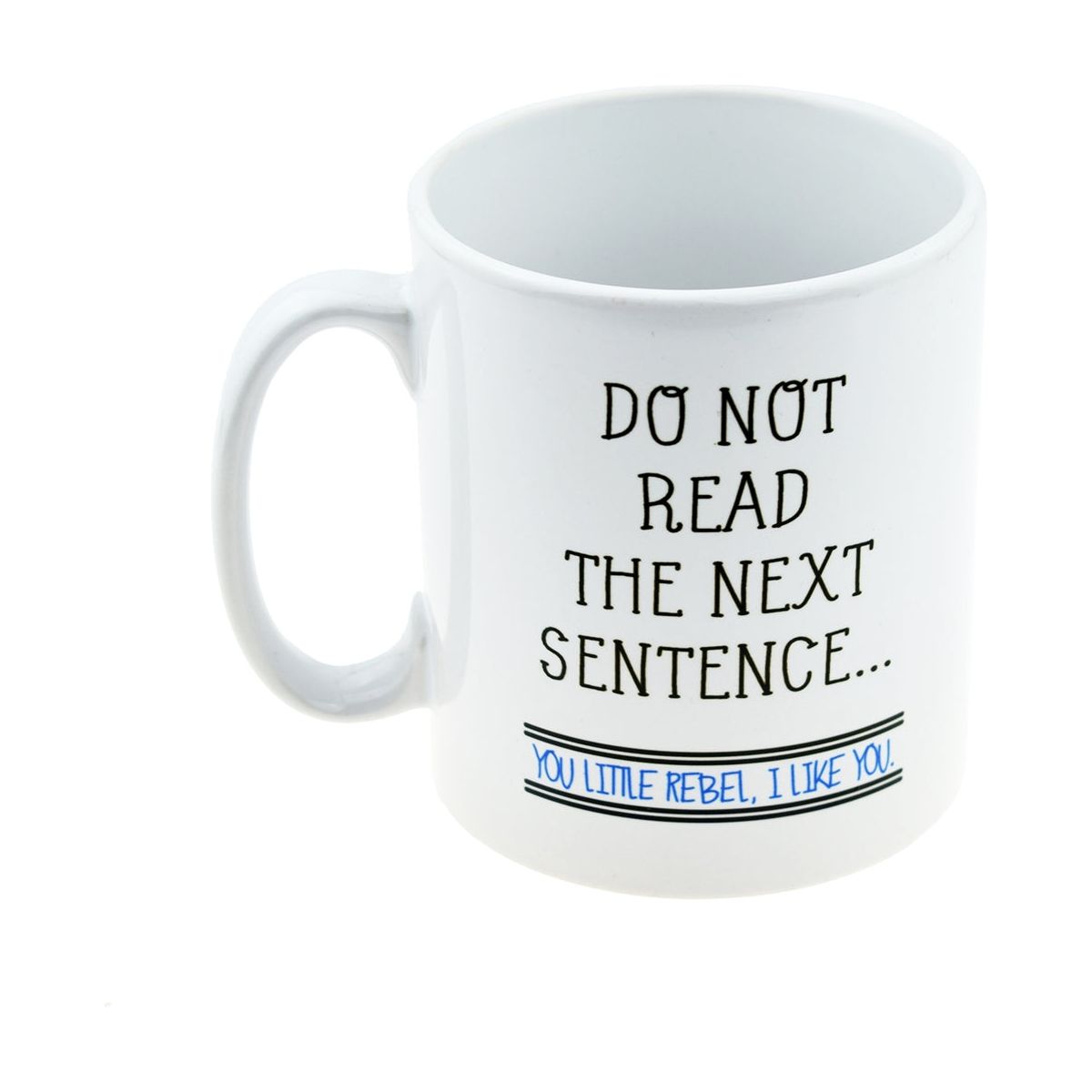 Do Not Read the Next Sentence ....You Little Rebel Fun Mug - Ashton and Finch